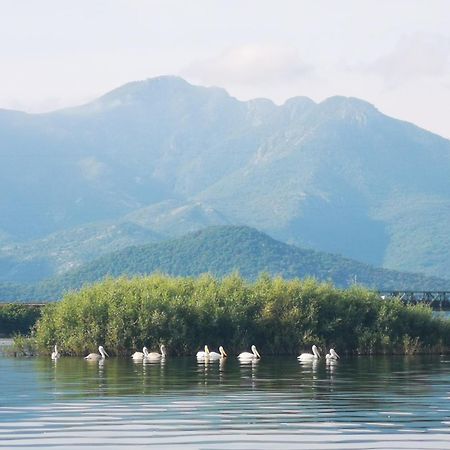 Apartment Dapcevic Skadar Lake Vranjina Exteriér fotografie