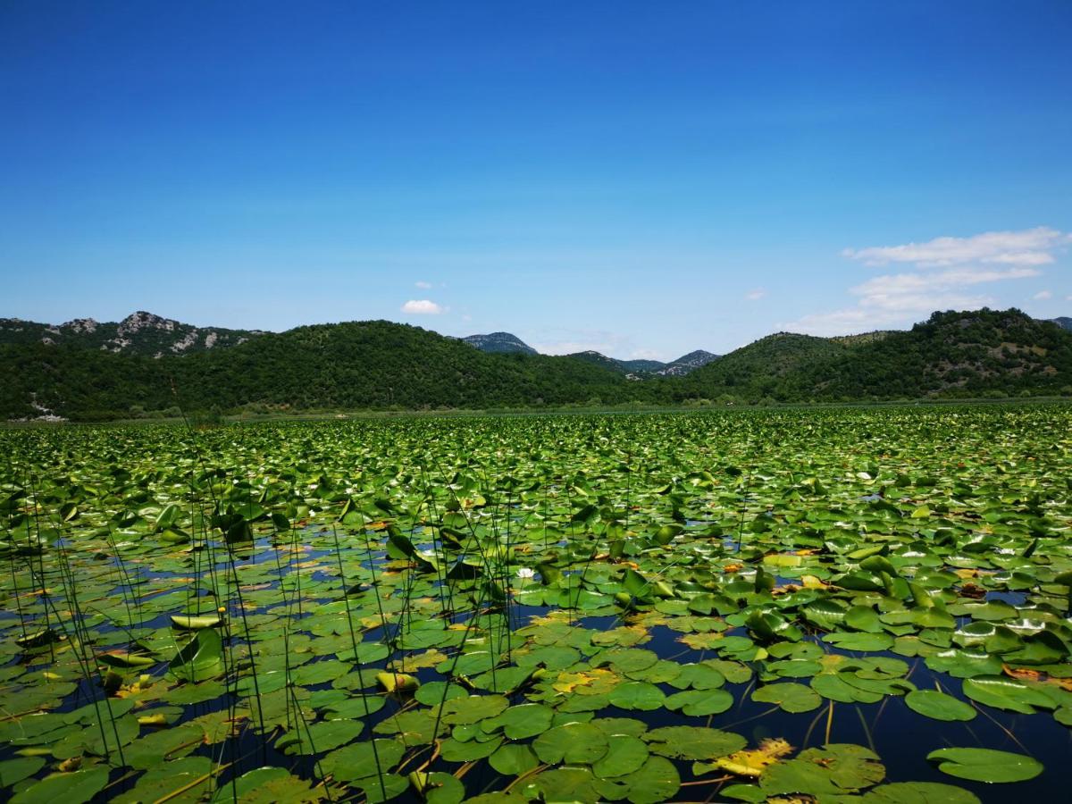 Apartment Dapcevic Skadar Lake Vranjina Exteriér fotografie