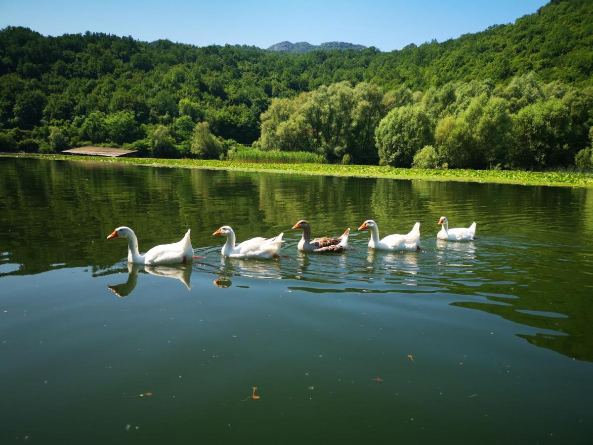 Apartment Dapcevic Skadar Lake Vranjina Exteriér fotografie