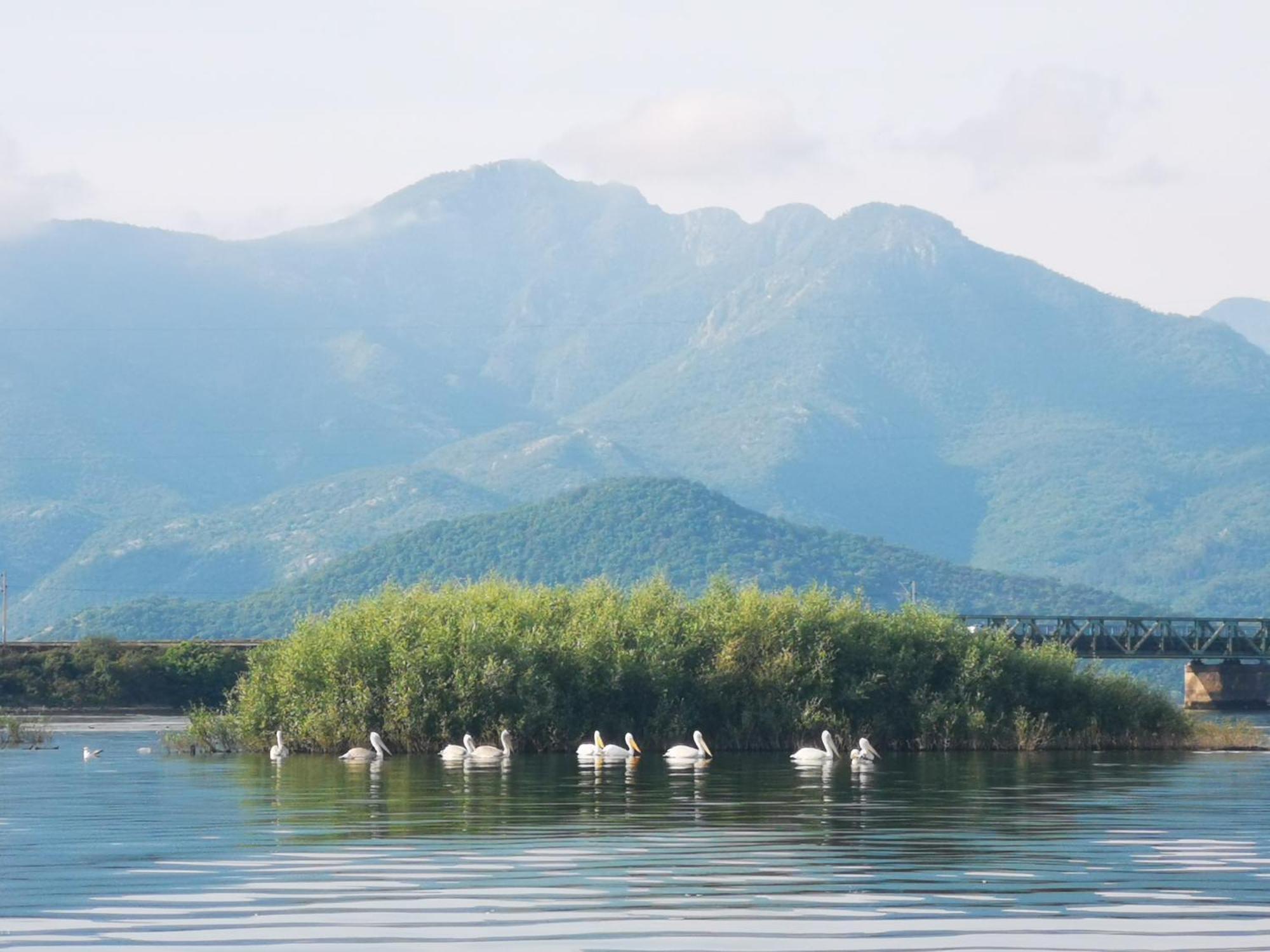 Apartment Dapcevic Skadar Lake Vranjina Exteriér fotografie